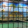 Las Palmeras Padel Y Pickleball logo